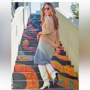 Ann Taylor ombre dress new with tags size L petite. I also have a blue cardigan